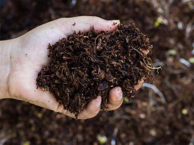 Vermicompost